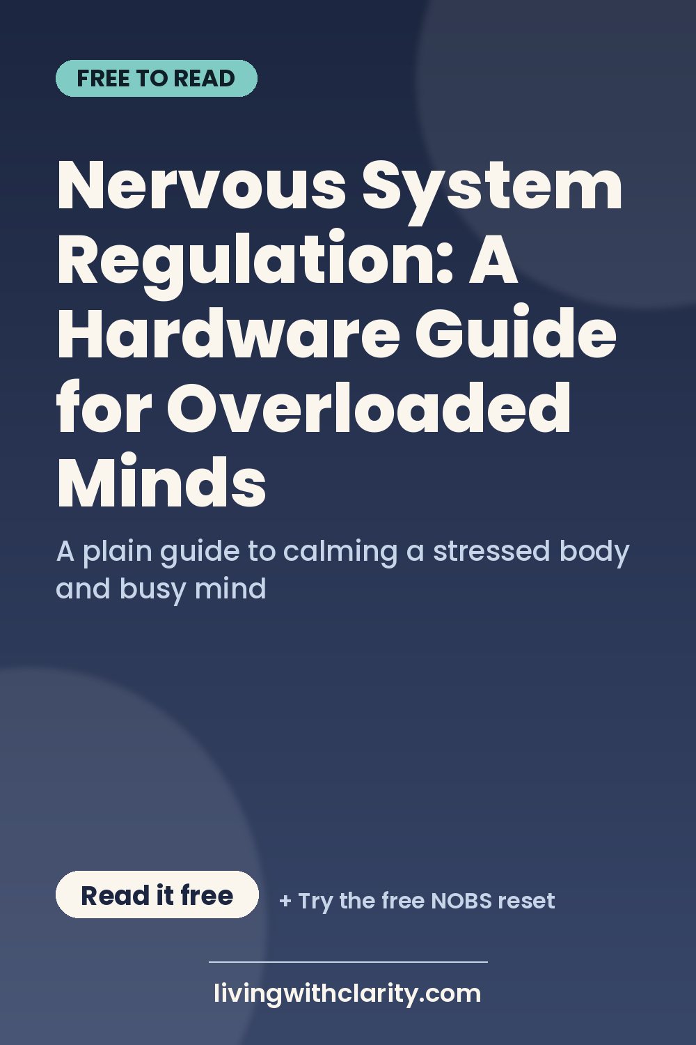 Pinterest pin: "Nervous System Regulation: A Hardware Guide for Overloaded Minds" with the line "A plain guide to calming a stressed body and busy mind", an article from Living With Clarity (livingwithclarity.com).