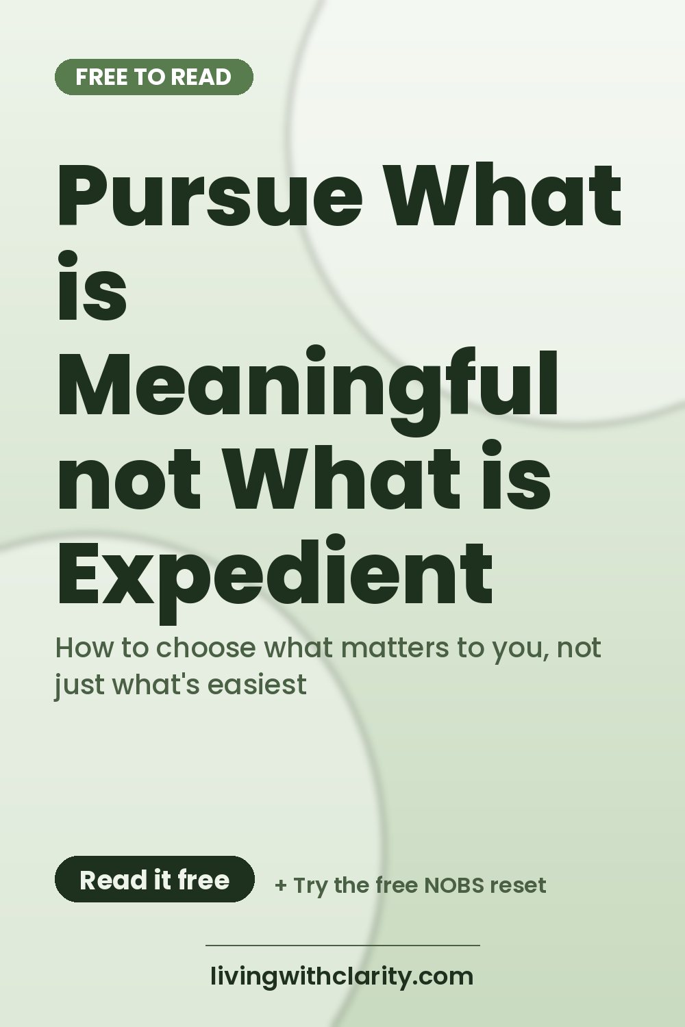 Pinterest pin: "Pursue What is Meaningful not What is Expedient" with the line "How to choose what matters to you, not just what's easiest", an article from Living With Clarity (livingwithclarity.com).
